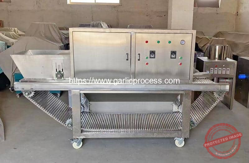 Automatic-Garlic-Peeler-Machine-for-Argentina-Customer